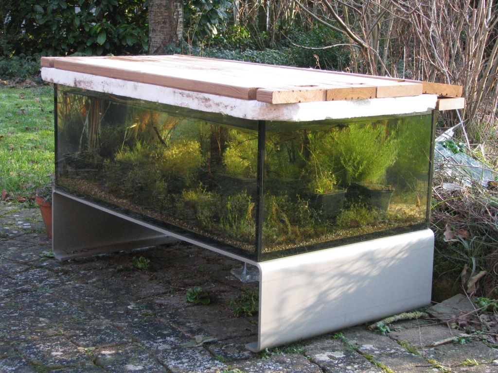 TerrassenFisch mit Winterschutz