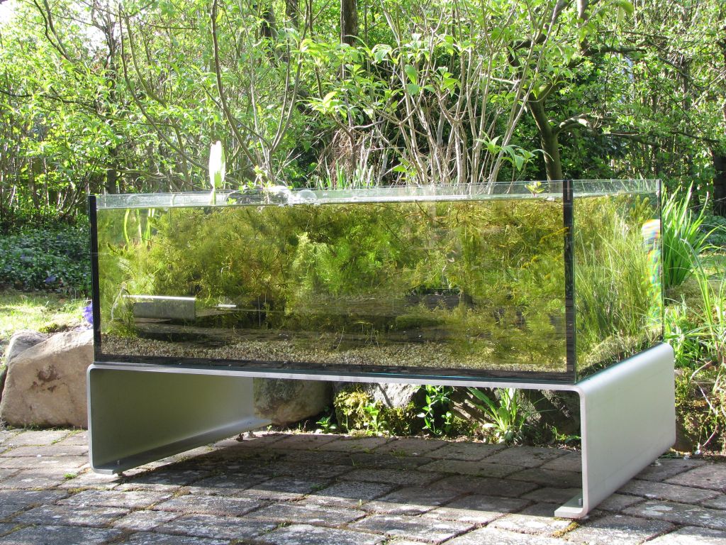 Hochteich Terrassenfisch 90 cm lang