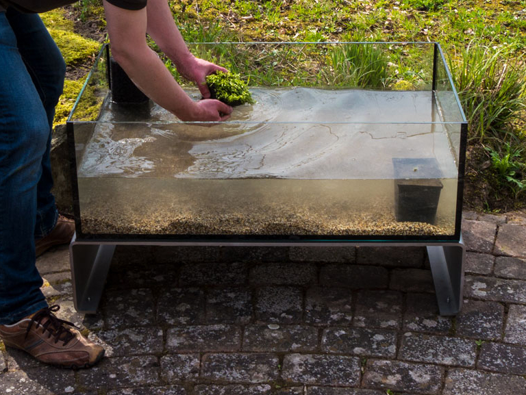 die Teichpflanzen werden gesetzt die Teichpflanzen werden gesetzt