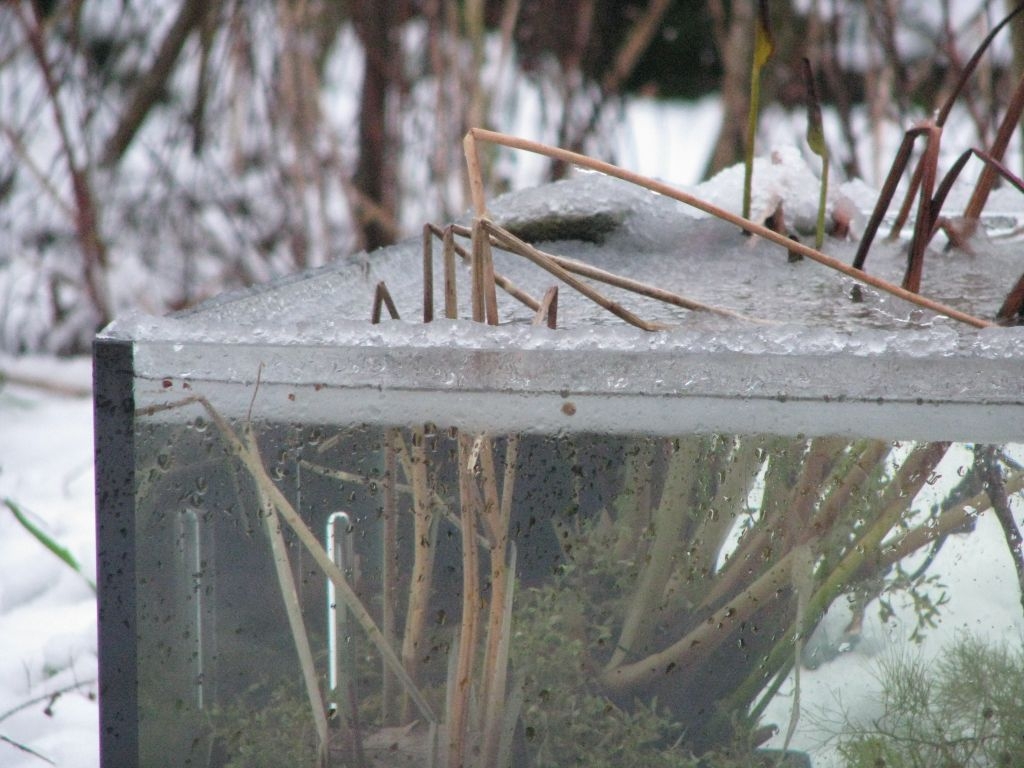 leichte Eisbedeckung leichte Eisbedeckung