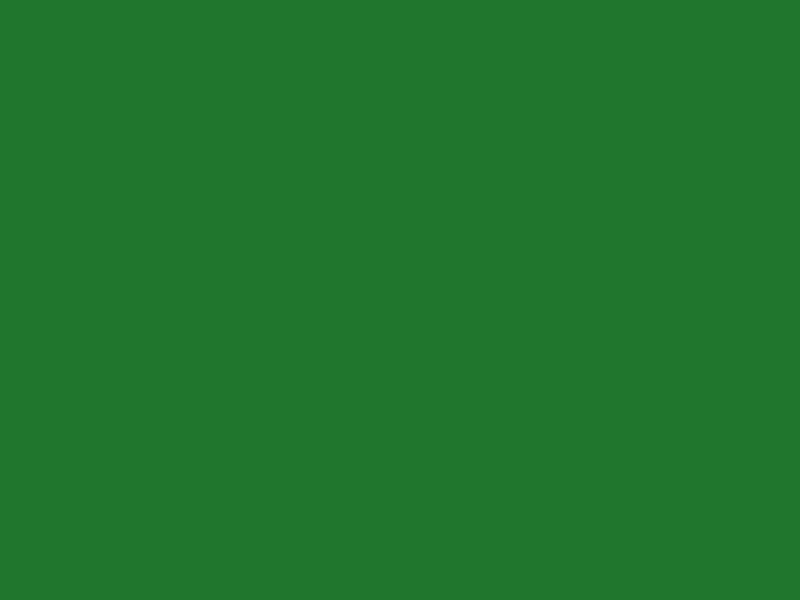 PVC Teichfolie naturgrün 1mm